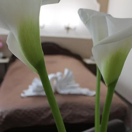 Royal Family Apartman Nis